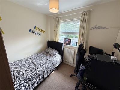 Picture 7